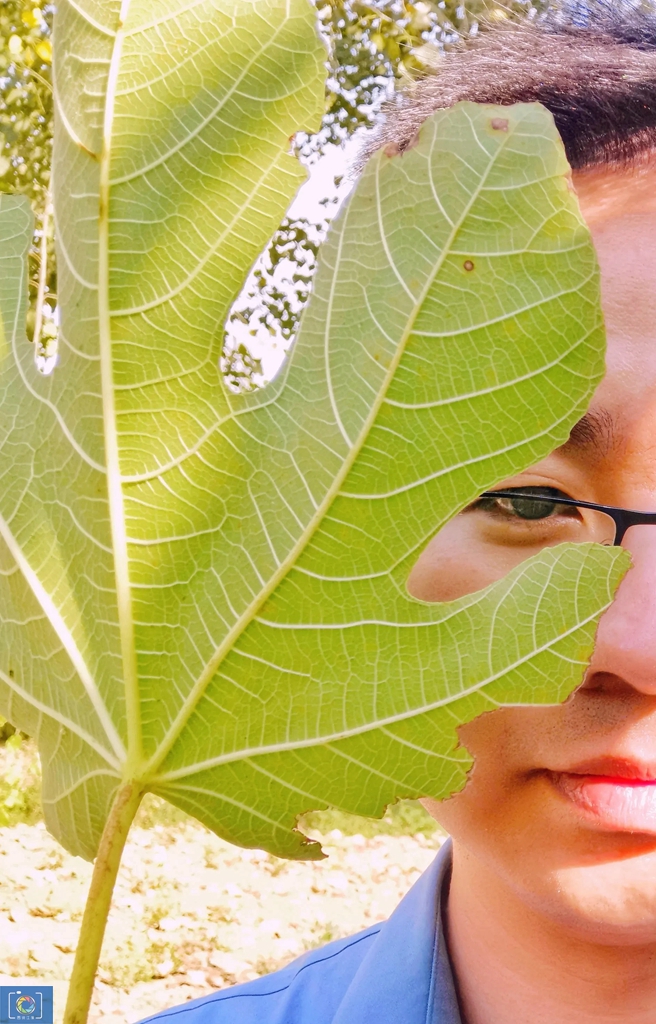 中秋探亲见闻,中秋回家过节回忆小时候