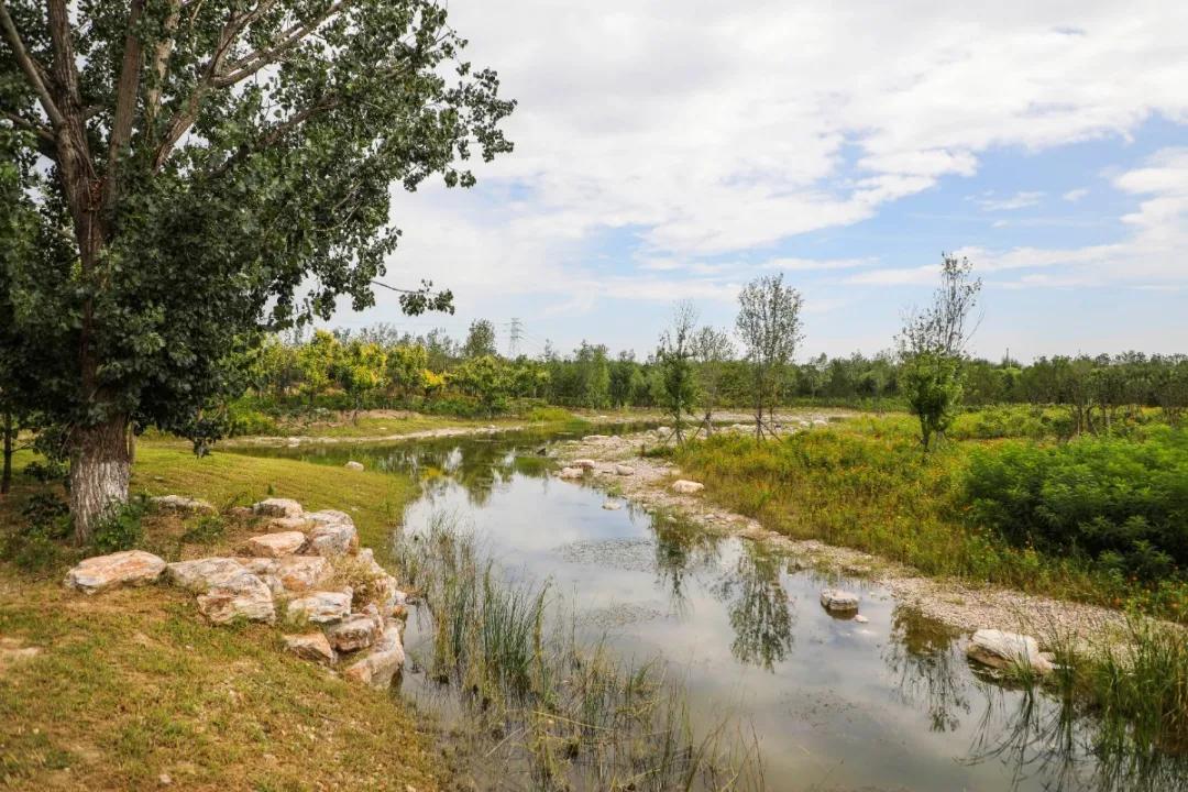 北京人少景美赏秋的公园,北京赏秋中山公园