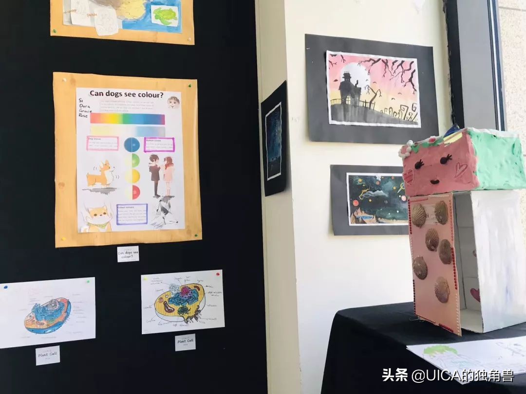 希望每一个孩子眼里都有光的成长,孩子在长大自己在成长