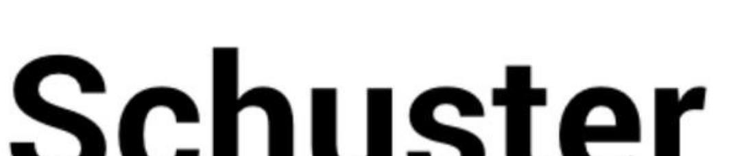 大连一方主教练舒斯特尔简历,大连一方的舒斯特尔