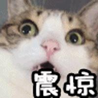 刚曝光！青岛一市场千元大牌只卖几十元！附近村子200多个加工点…