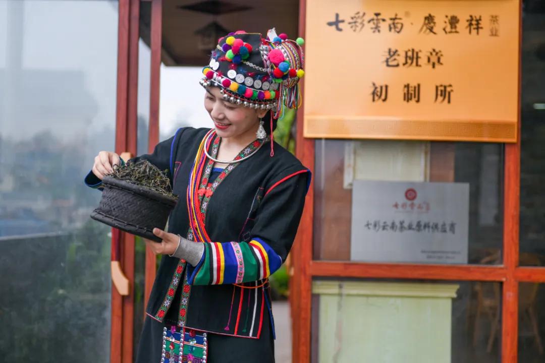 中国人喝真茶,为了喝一口好茶必须精益求精