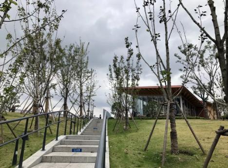 上海正宗老帮菜,上海正宗本帮菜老八样