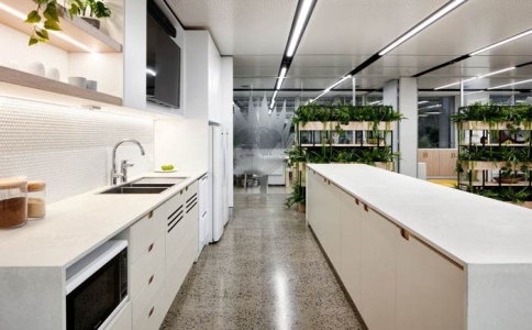 办公室老鼠怎么灭,办公室灭老鼠最好方法