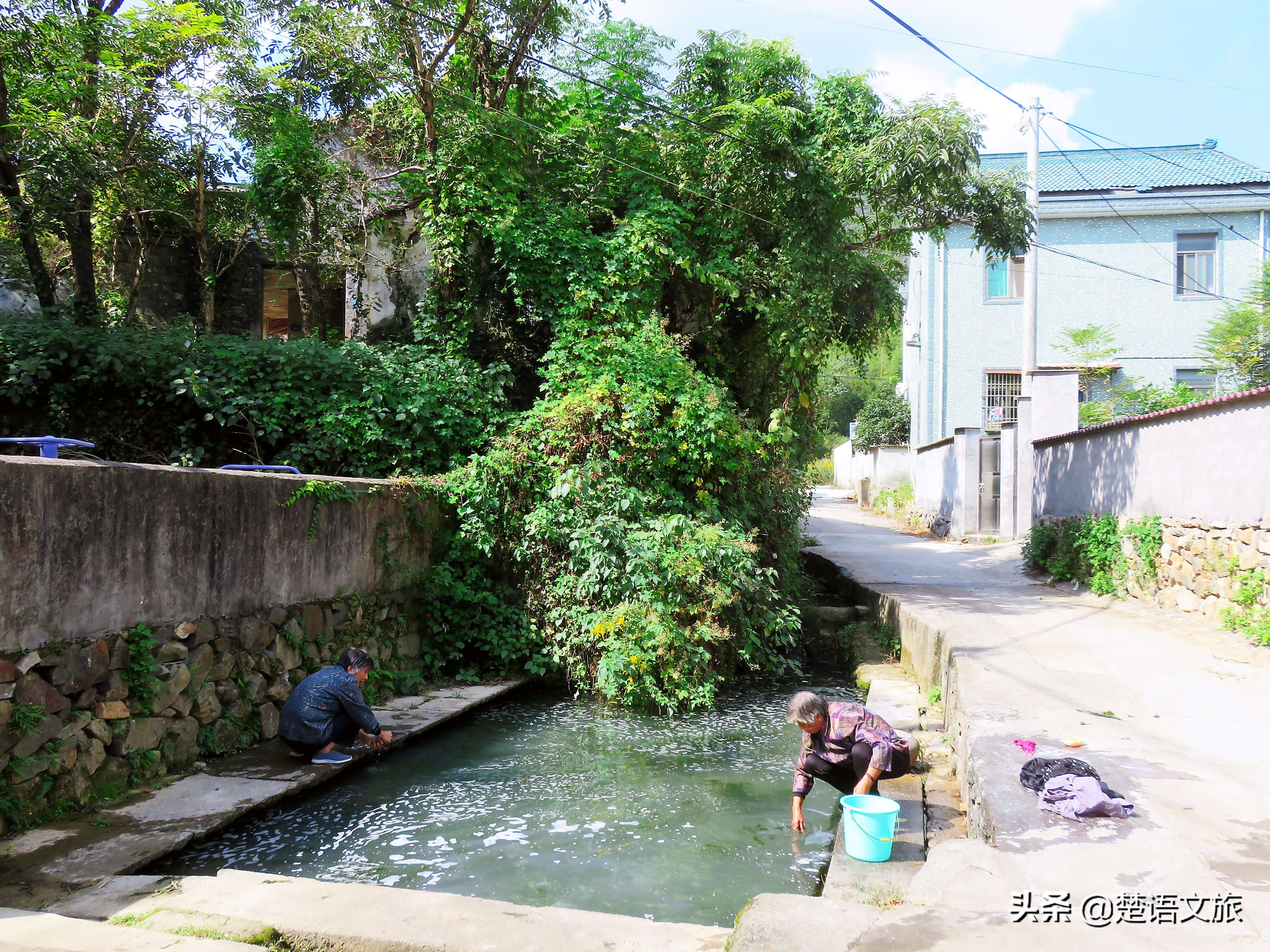 盛产杨梅而闻名的县是哪里,杨梅之乡余姚在什么省