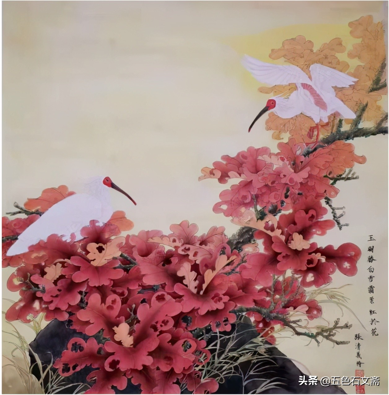 书香心韵（四）：藏书