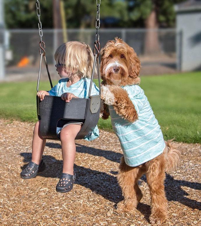狗狗缺钙为什么会抽搐还有吐白沫,狗狗缺钙补钙针