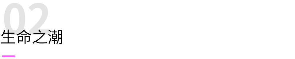 画风唯美的中国风游戏合集,唯美风格游戏推荐