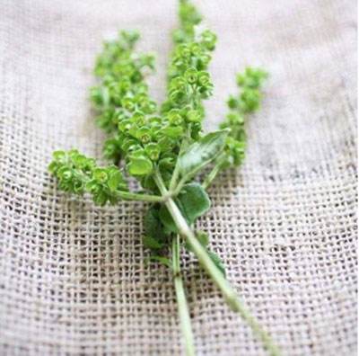 澶忓ぉ绌夸簹楹昏垝鏈嶈繕鏄┛闆汉鑸掓湇,鍗冧竾涓嶈绌夸笣缁搁拡缁囩被琛f湇