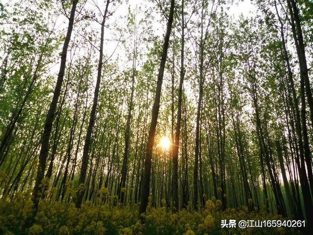 天然大钓场,天然氧吧钓场