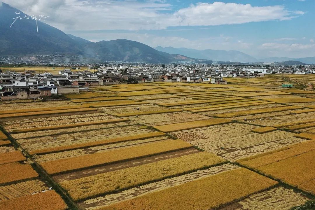 云南最适合养老的小镇,云南最适合养老的4座城环境好