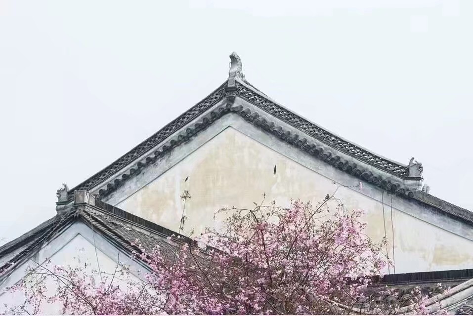 鍘熷垱鑸炶箞钀借姳,纰庡奖鍘熷垱