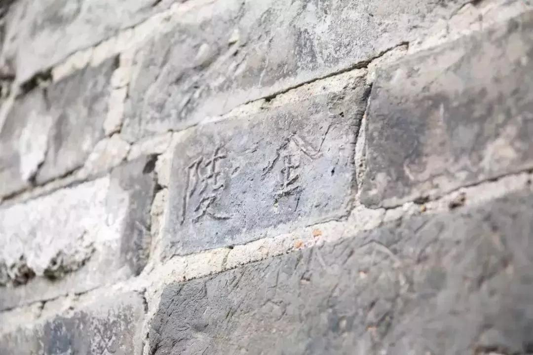 南京的礼物,南京礼物2028