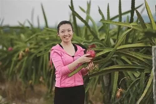 三农行业新闻,三农热点事件及评论