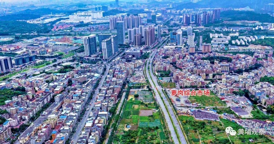 黄埔萝岗大型农贸综合批发市场,广州市萝岗区最大的综合市场