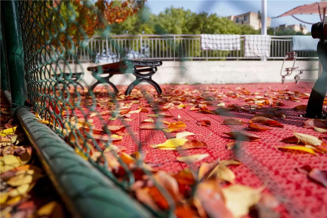 思源学院美景照片,西安思源学院秋景色