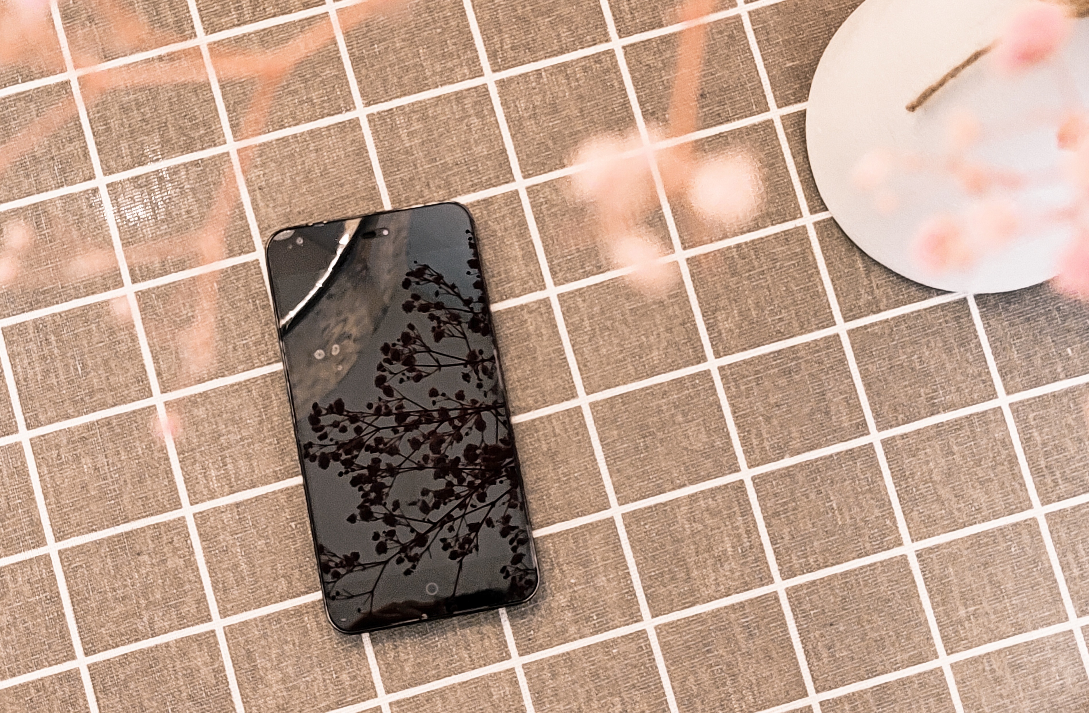 我眼中的相亲,我眼中的苏轼