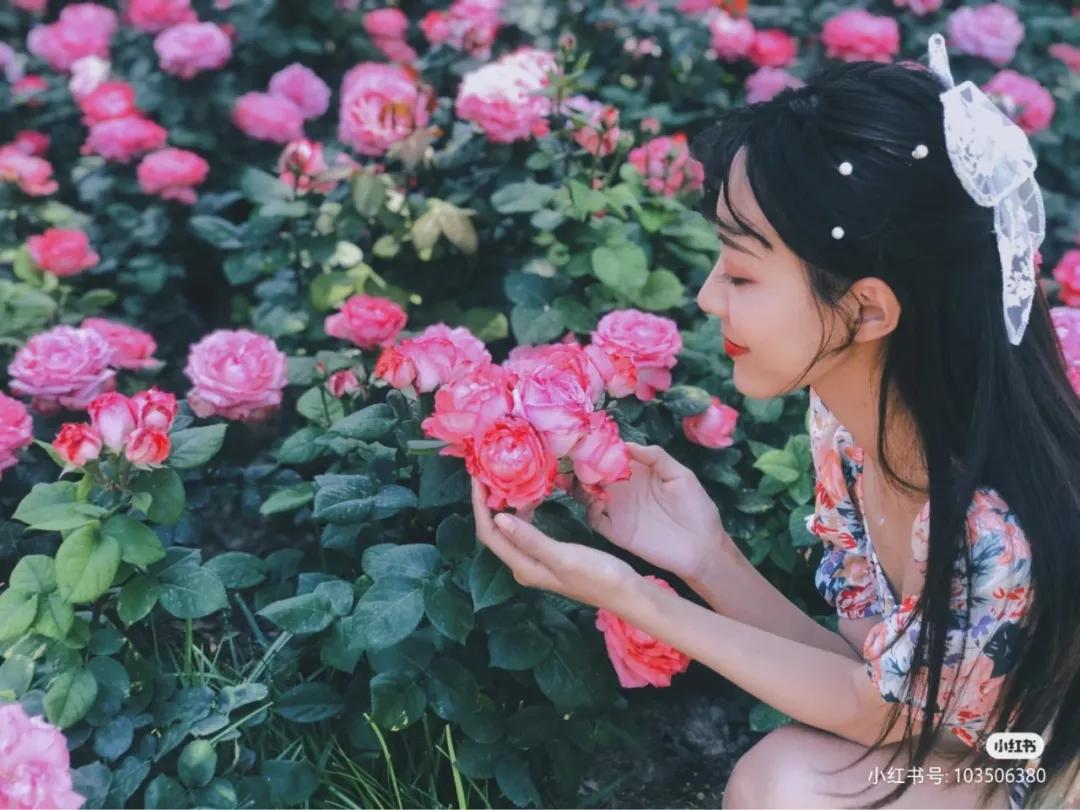 私藏拍照最好的地方,天津适合拍照又安静的地方