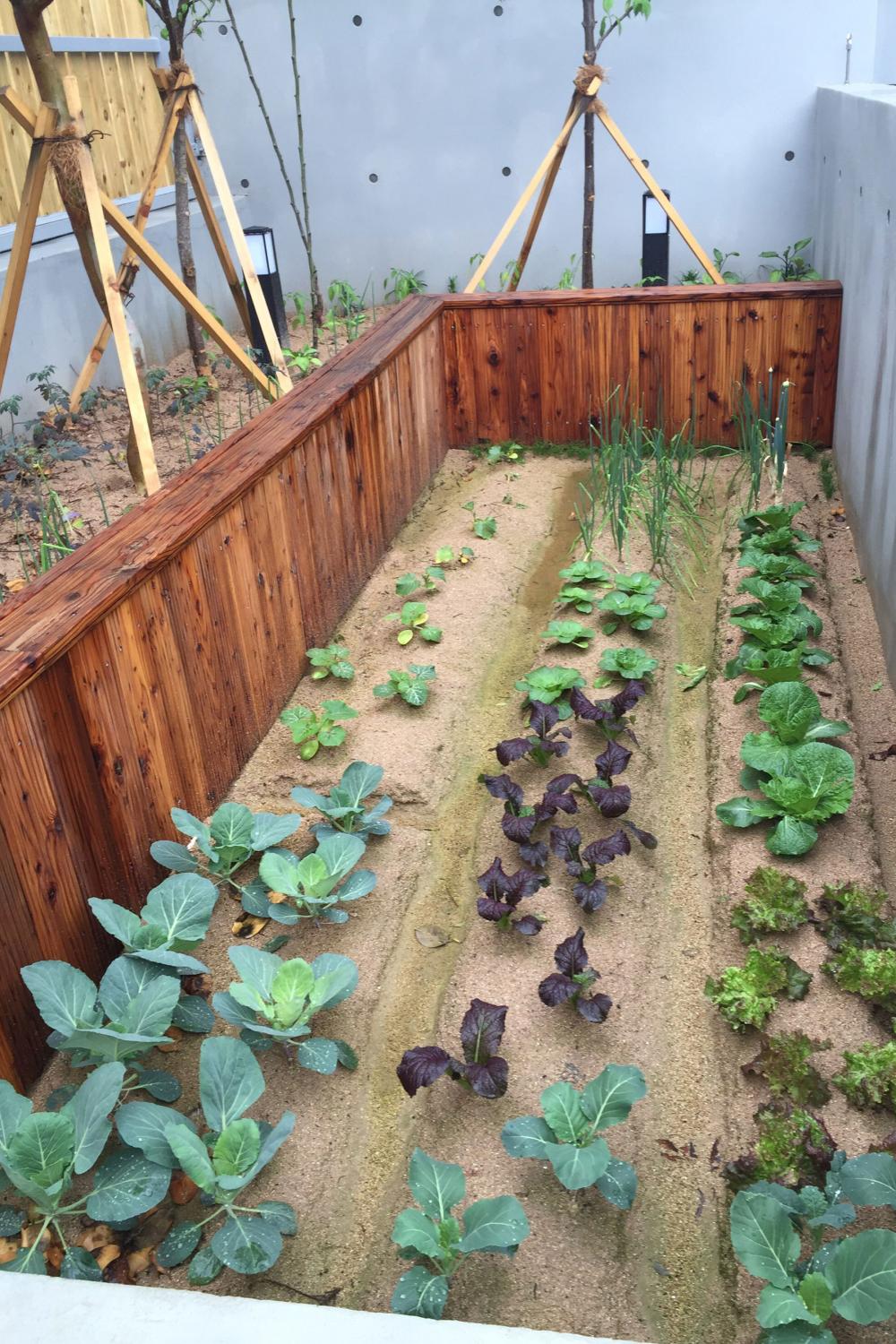 11层顶楼带阁楼露台,顶层带阁楼露台和底层带院子