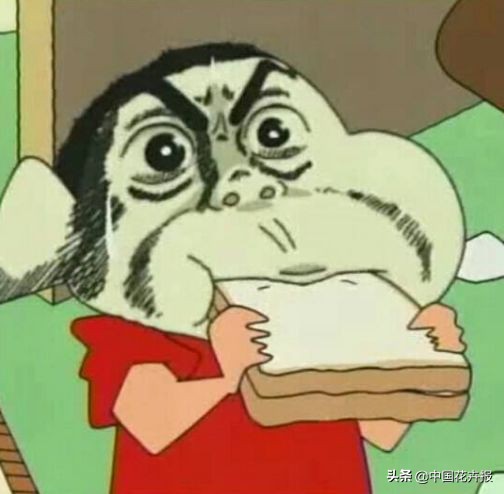 从小就觉得面包树上结的是“面包”？你只差一个亲眼看看的机会