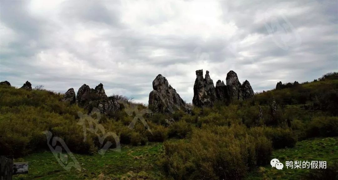 自驾车游遍中国之（一）——世界那么大，我想去神农架