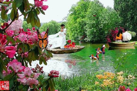 启迪人生经验的智慧语录