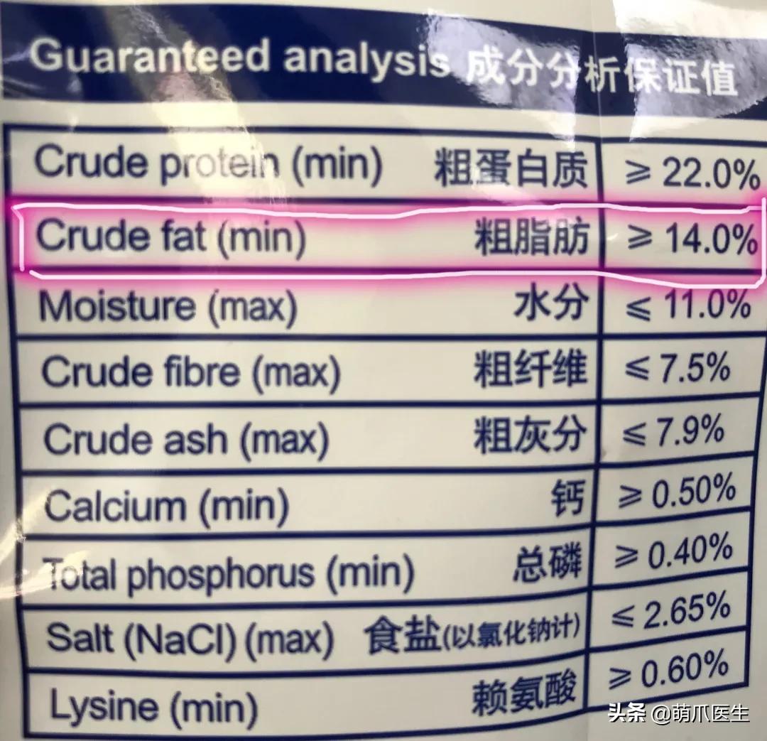 猫咪下巴长了黑头？千万别去抠，那是猫咪患上了毛囊炎的症状