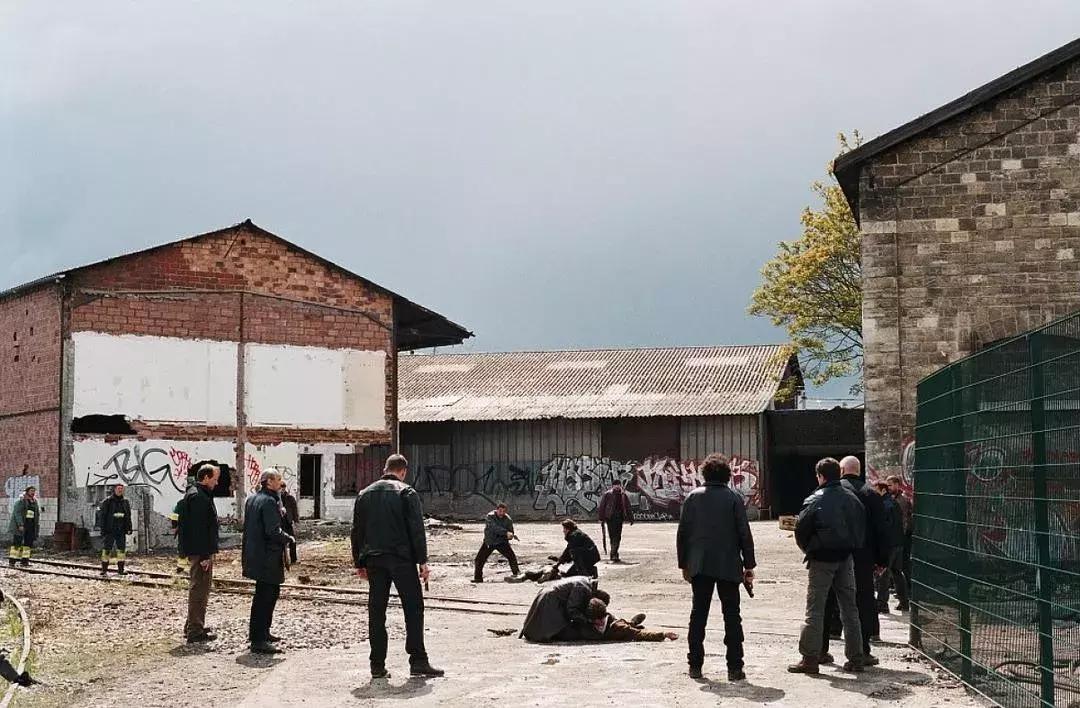 片单|被这7部片连环轰炸，看完我终于丢了智商