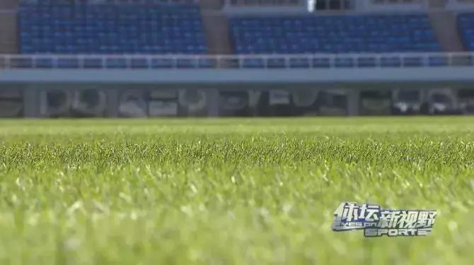 天津泰达赛程表2024足协杯,2024泰达足协杯首发