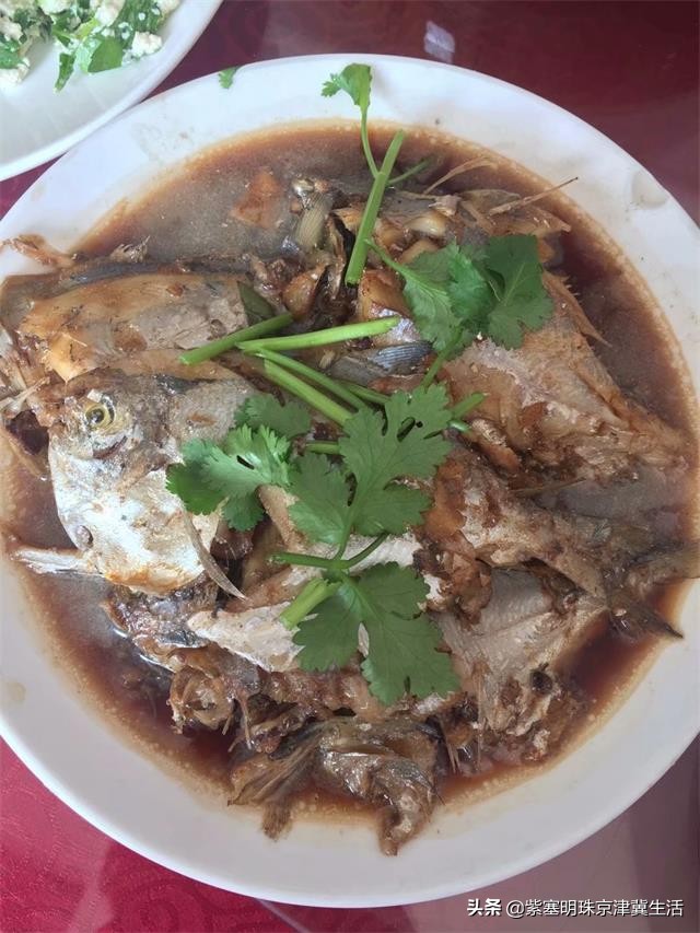 海边可以赶海吃住玩一体的农家院,秦皇岛黄金海岸牧海农家院