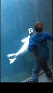 大吐槽：“快住手啊，他们说的3P不是这个意思”