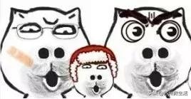 苏州翰林小学排名榜,苏州翰林小学好不好