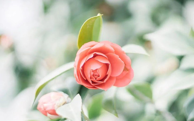 已婚男生把你当备胎的几个特征,男人有三种行为是给你当备胎而已