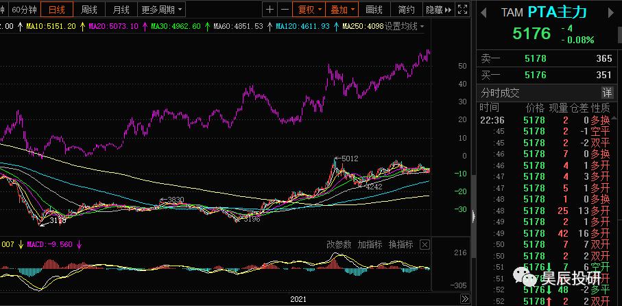 涤纶化工行业领头羊板块股票,a股涤纶个股