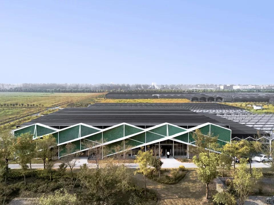 乡村振兴特色文化案例分享,关于乡村振兴比较有创意的点子