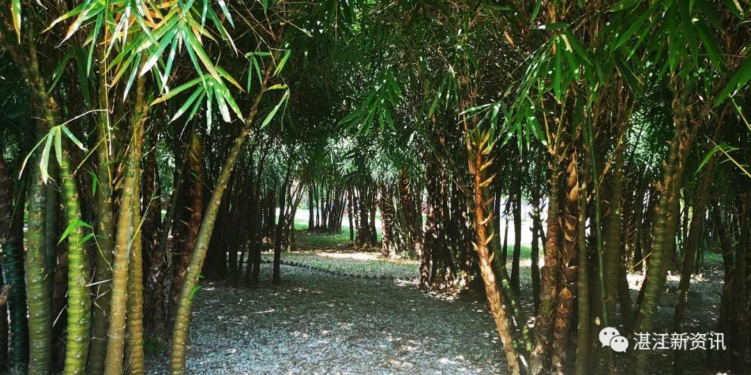 蓝天白云湖面碧波荡漾天然氧吧,湖光岩大自然天然氧吧