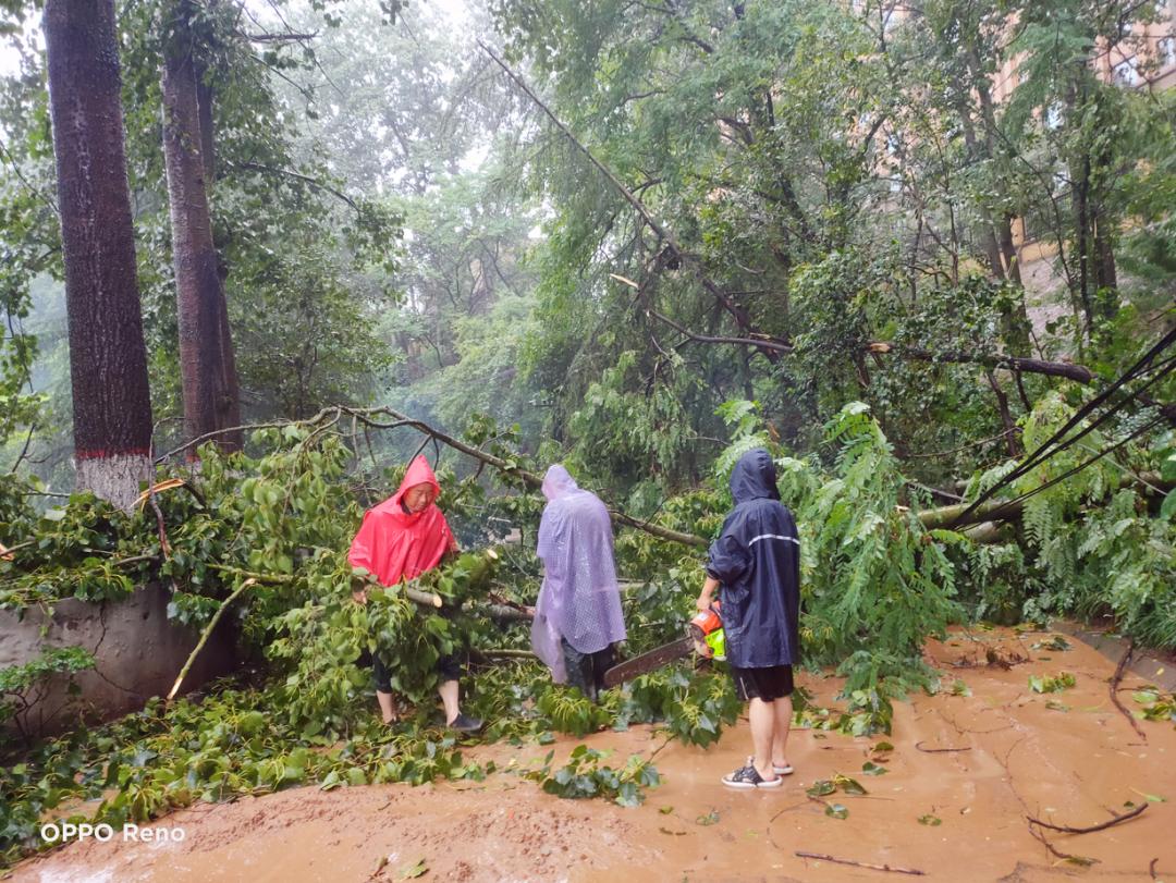 什么叫物业人,什么是物业人