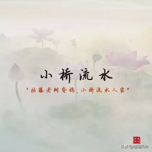 古诗词里的绝美成语,古诗词中绝美成语