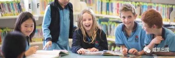 爬藤系学校,中国最好的爬藤学校