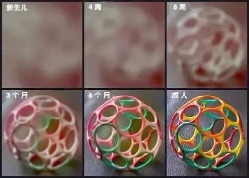 医生科普新生儿,医生必知的100个秘密