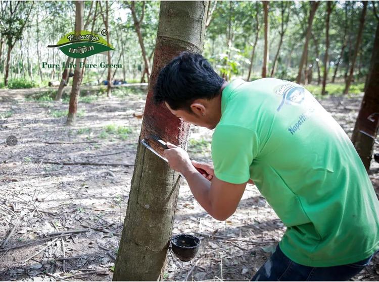 原装的娜帕蒂卡乳胶床垫哪种好,娜帕蒂卡乳胶床垫旗舰店