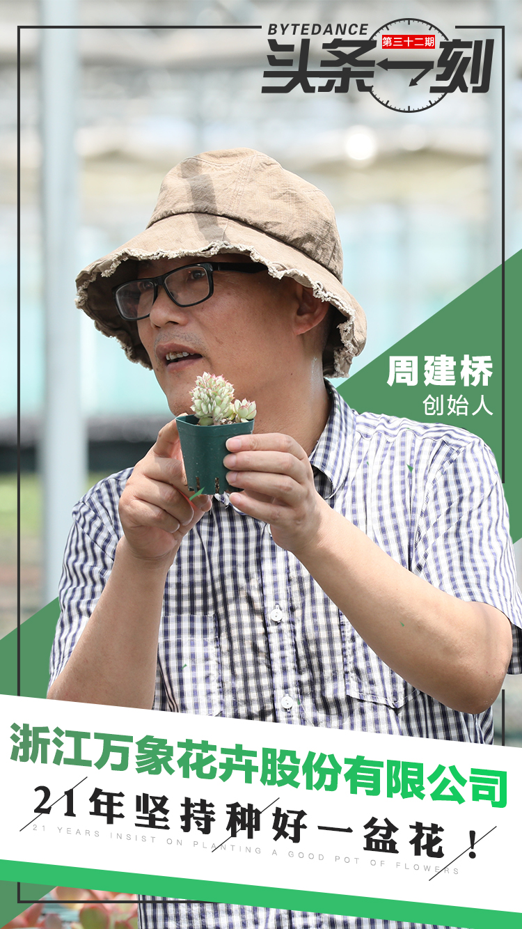 淘宝卖多肉为什么便宜了,多肉很便宜了