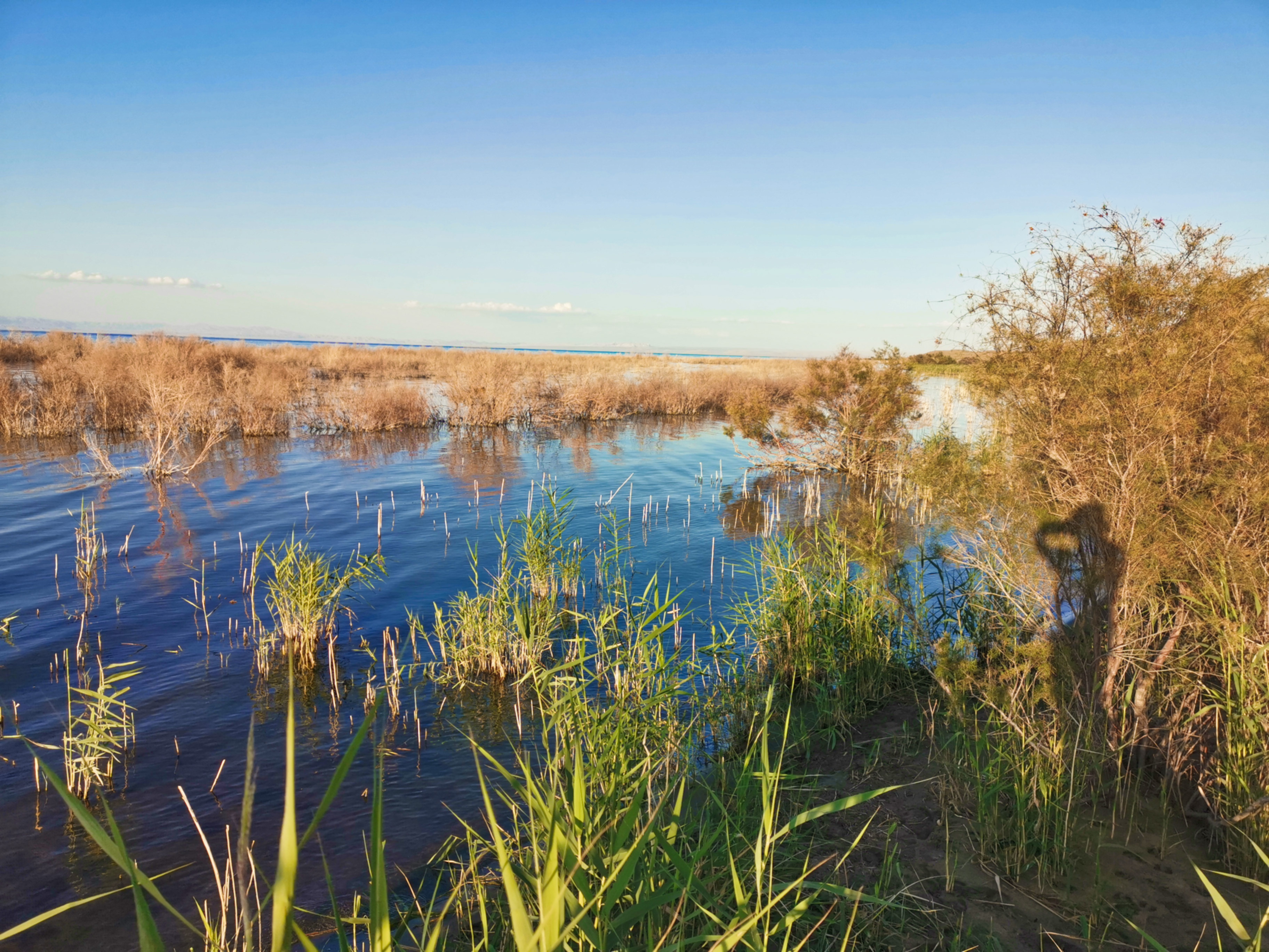 65岁的老人自己去旅游,60岁老人独自旅游