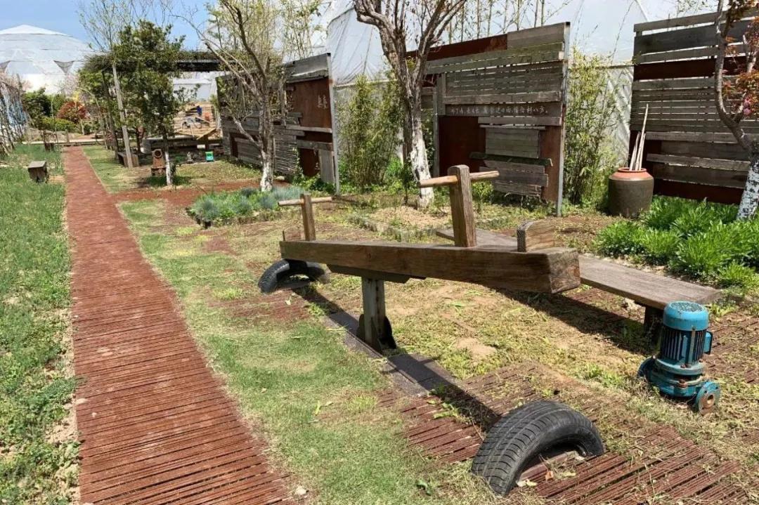 用低成本打造高颜值农场,广东夫妇超省钱