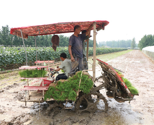 适合农村赚钱的门路,适合农村致富的门道