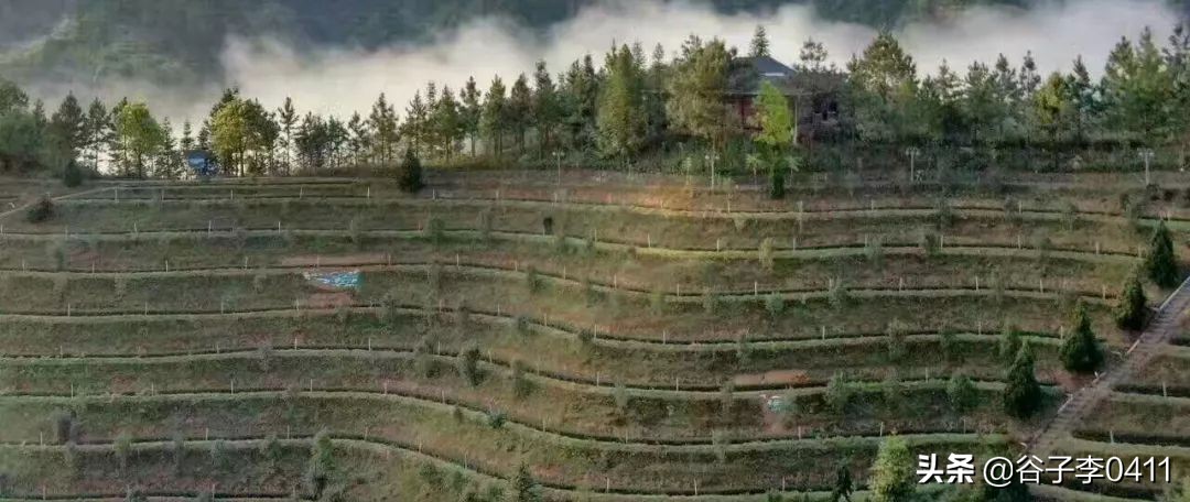 小聂跑法慢动作播放,小聂跑法是怎么跑的