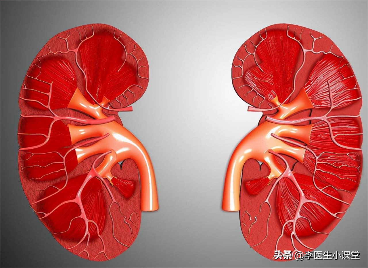 肾不好要怎么办？坚持做好这3点，有助于预防肾衰竭