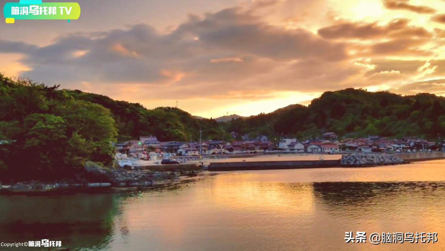 万只猫集体跳海，一场只有死亡才能终结的诅咒！日本诡异事件真相