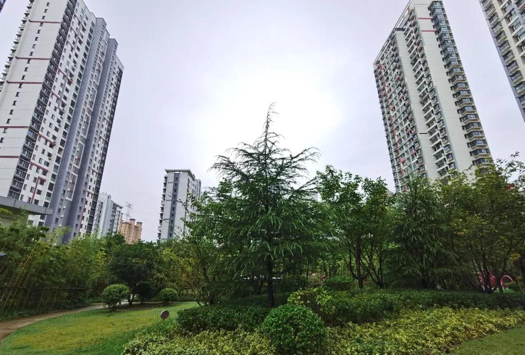 今天,我要好好夸下无锡这个学区房的物业