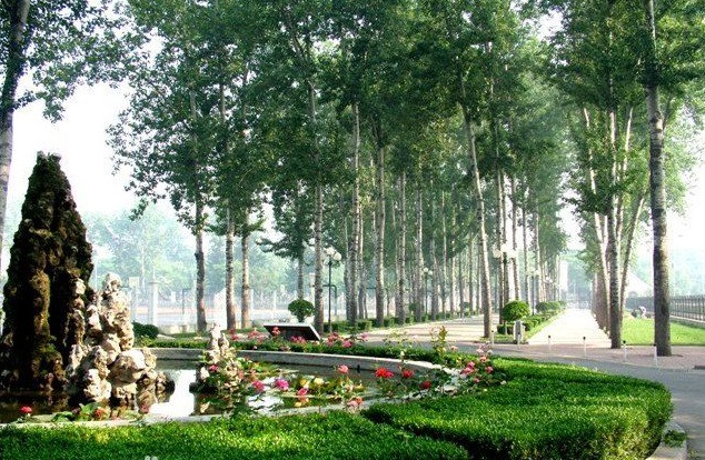 安阳市第一中学985上线率,一本上线率百分之80的高中